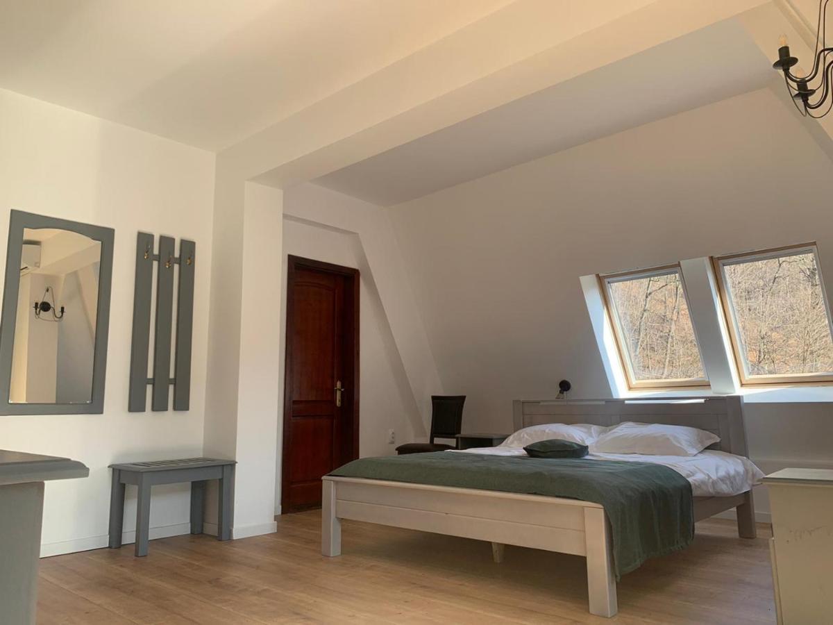 Pension Casa Vanatorilor Беїле-Оленешті Екстер'єр фото
