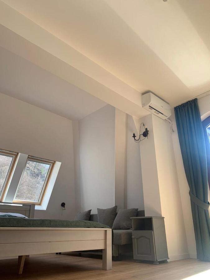 Pension Casa Vanatorilor Беїле-Оленешті Екстер'єр фото
