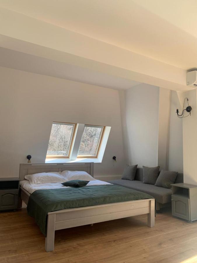 Pension Casa Vanatorilor Беїле-Оленешті Екстер'єр фото