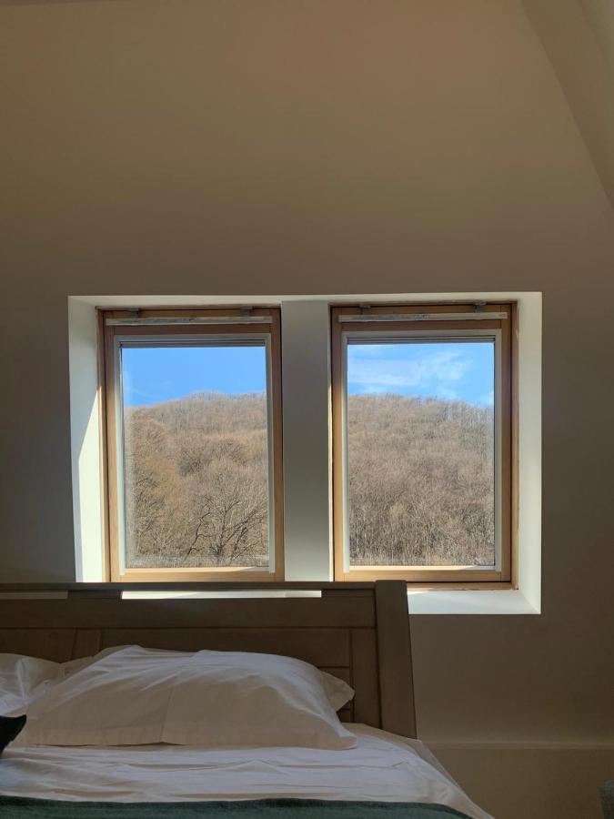 Pension Casa Vanatorilor Беїле-Оленешті Екстер'єр фото