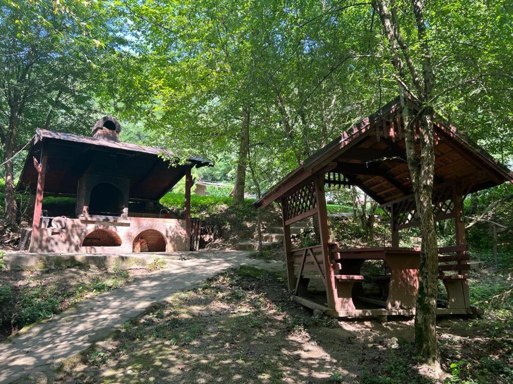 Pension Casa Vanatorilor Беїле-Оленешті Екстер'єр фото