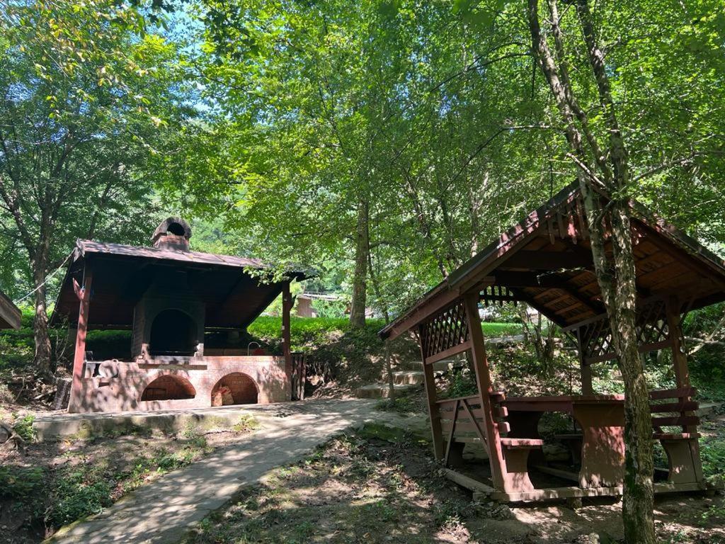 Pension Casa Vanatorilor Беїле-Оленешті Екстер'єр фото