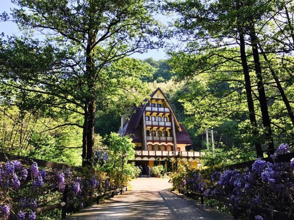 Pension Casa Vanatorilor Беїле-Оленешті Екстер'єр фото
