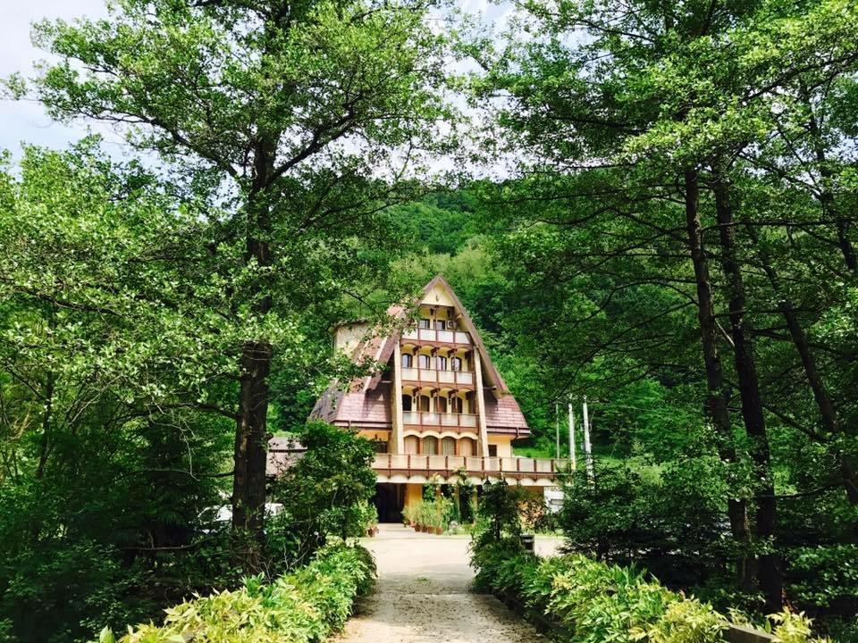 Pension Casa Vanatorilor Беїле-Оленешті Екстер'єр фото
