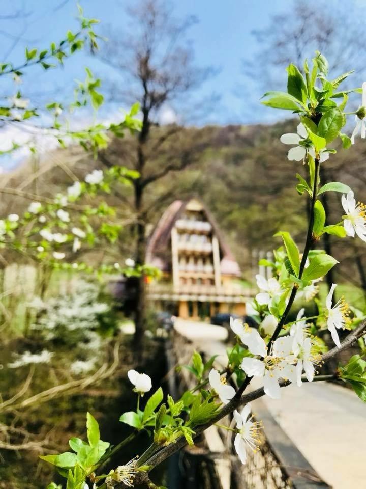 Pension Casa Vanatorilor Беїле-Оленешті Екстер'єр фото