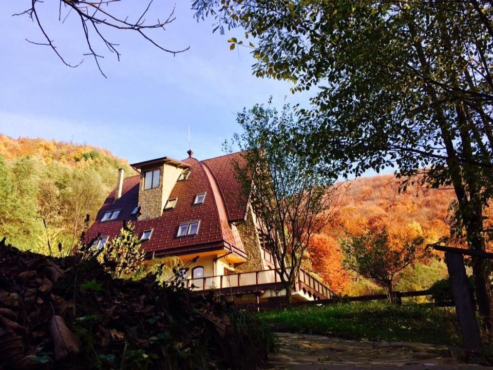 Pension Casa Vanatorilor Беїле-Оленешті Екстер'єр фото