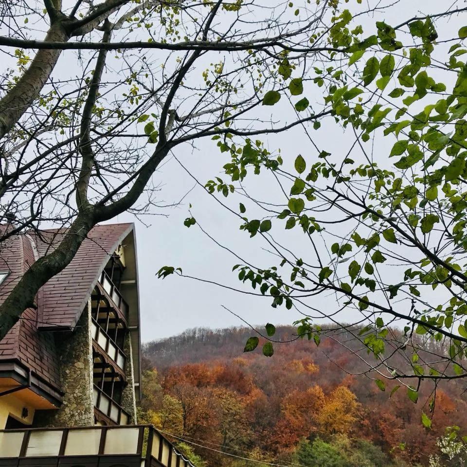 Pension Casa Vanatorilor Беїле-Оленешті Екстер'єр фото