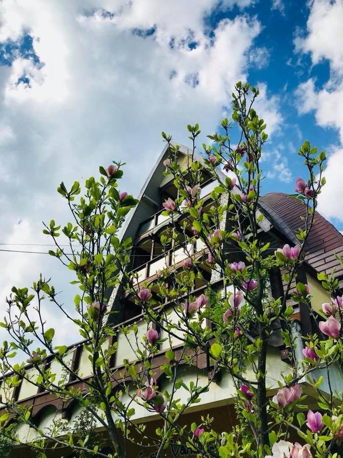 Pension Casa Vanatorilor Беїле-Оленешті Екстер'єр фото